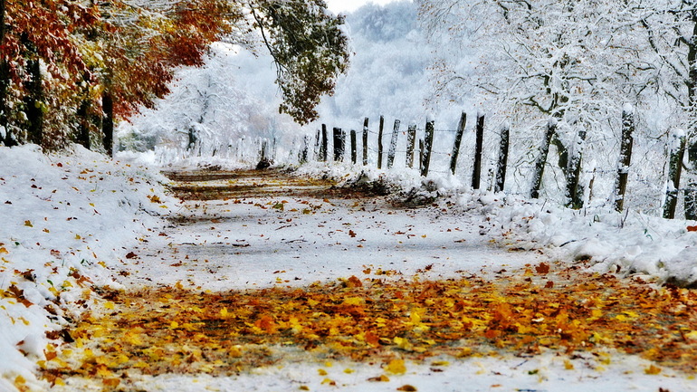 Сниться сніг восени: до чого він випадає з різних сонникам, значення для жінок і чоловіків