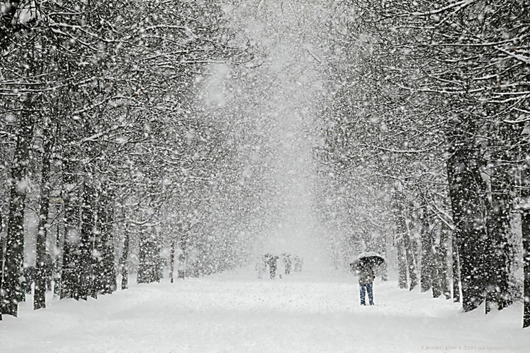 Сниться снігопад чоловікові і жінці: характеристика за сонником, як йшов сніг, що робив чоловік під час хуртовини