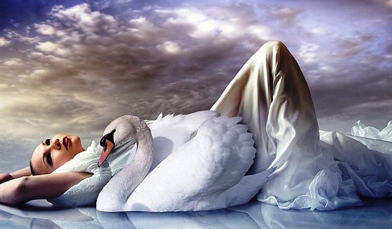 Сновидіння, де сняться лебеді, білі зграї птахів на воді і в небі, тлумачення згідно соннникам