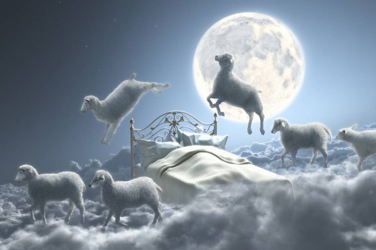 Сон, де сняться вівці: жінці та чоловікові, біля будинку і на лузі, тлумачення за різними сонникам