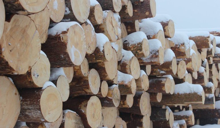 Сон про колодах: трактування сонників, значення зовнішнього вигляду колод і дій сновидця