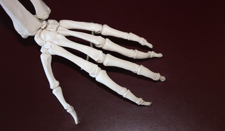 Трактування, до чого сняться кістки: значення в різних сонники