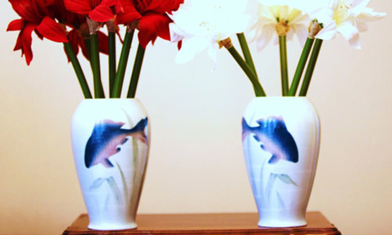 Трактування вази сониками: що значить побачений символ