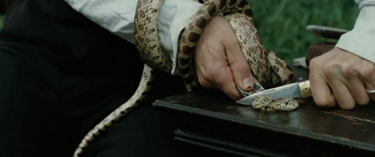 Вбити змію у сні: тлумачення з різних сонникам, що означає розрубати своїми руками велика плазун